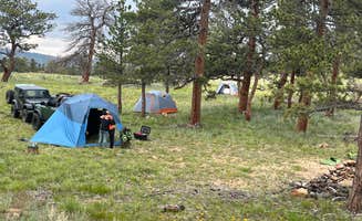 Ginna L.'s photo of a dispersed camping area at Pingree Hill Dispersed Camping near Laporte, CO