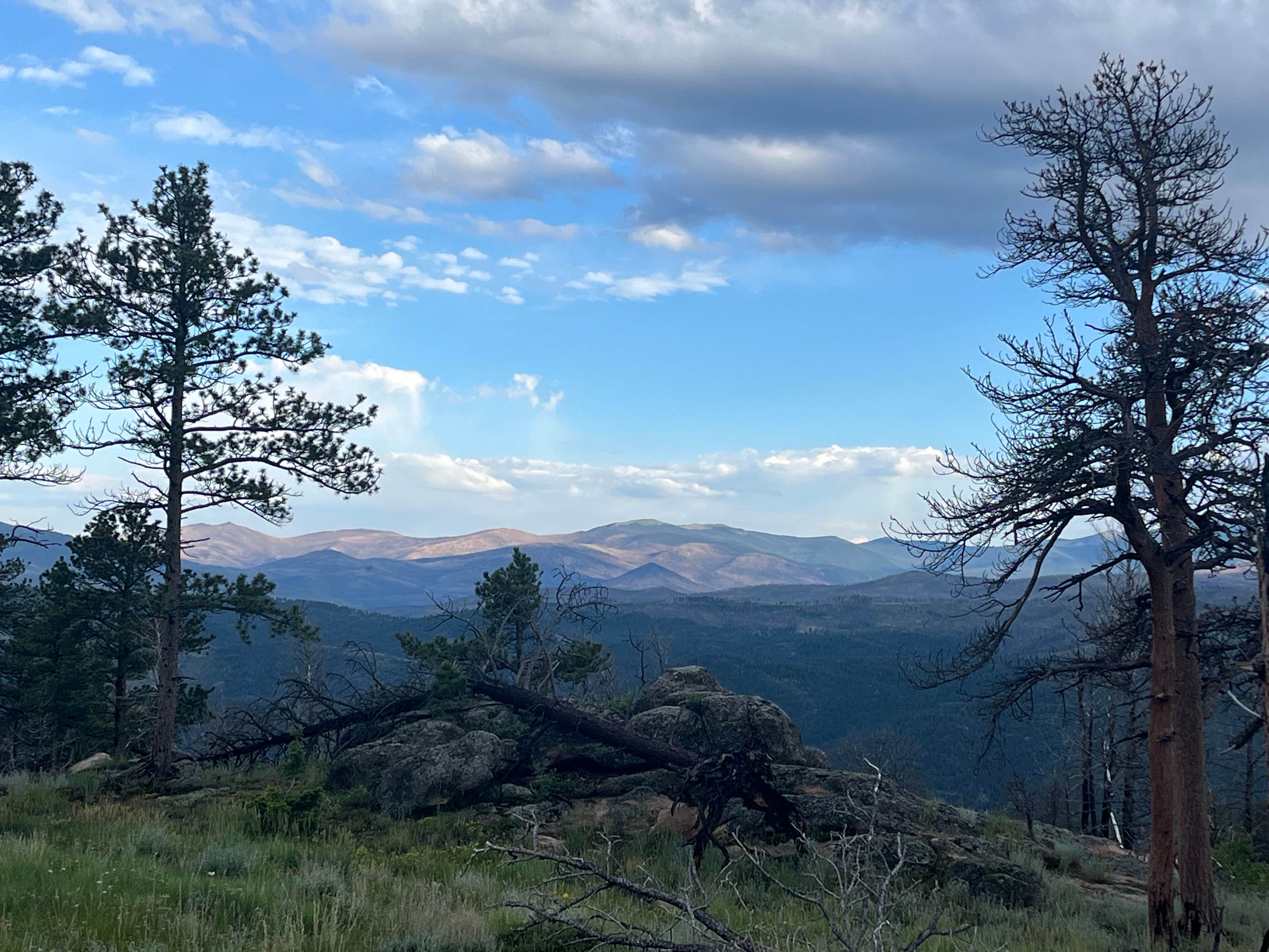 Camper-submitted photo at Pingree Hill Dispersed Camping near Arapaho & Roosevelt National Forests Pawnee NG