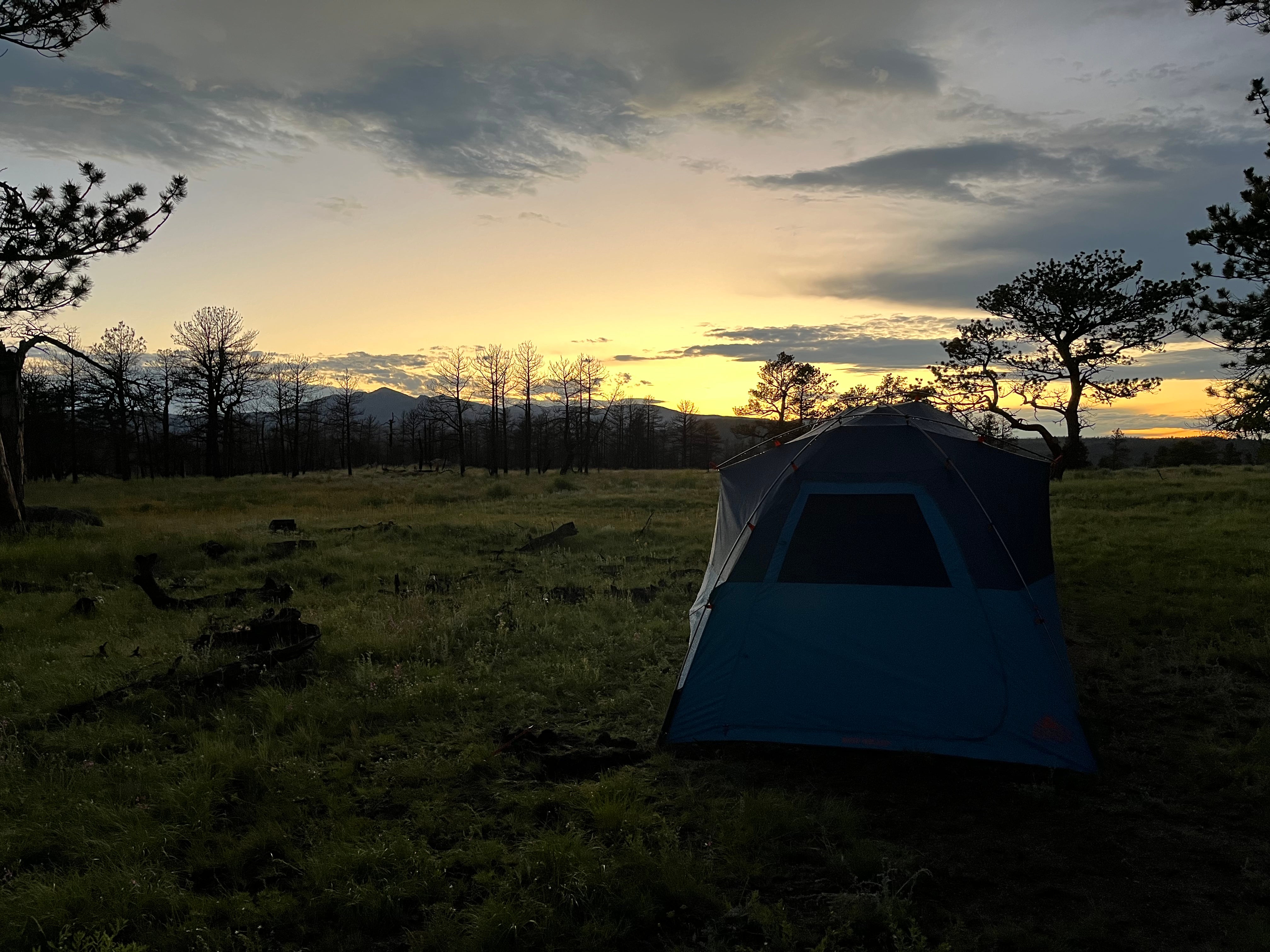 Camper submitted image from Pingree Hill Dispersed Camping - 4