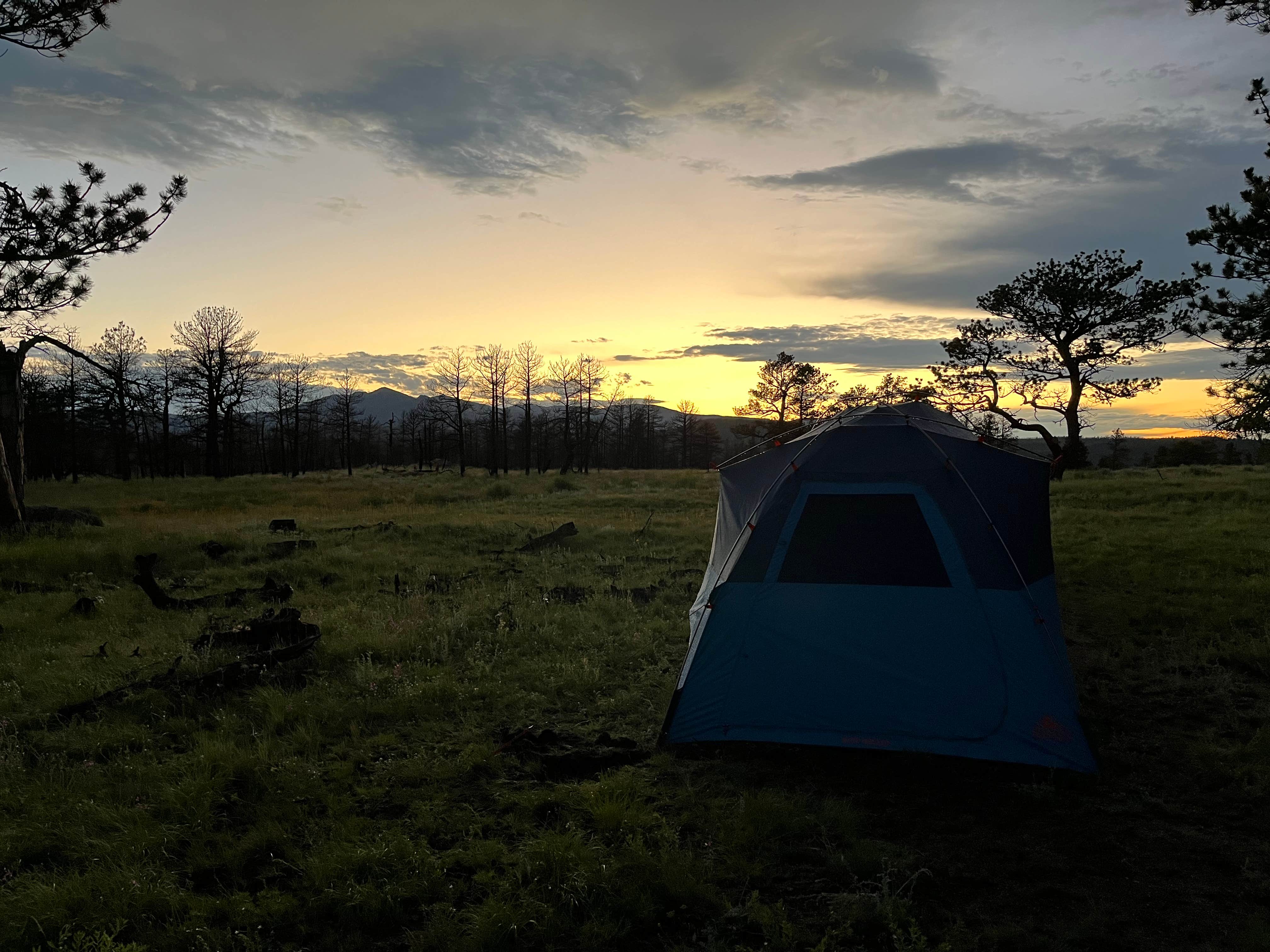 Camper submitted image from Pingree Hill Dispersed Camping - 4