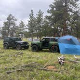 Review photo of Pingree Hill Dispersed Camping by Ginna L., July 11, 2023