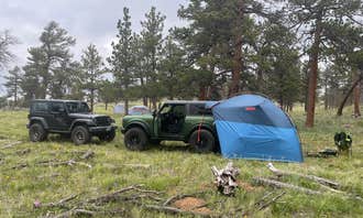 Camping near Jacks Gulch - **CLOSED FOR SEASON**: Pingree Hill Dispersed Camping, Red Feather Lakes, Colorado