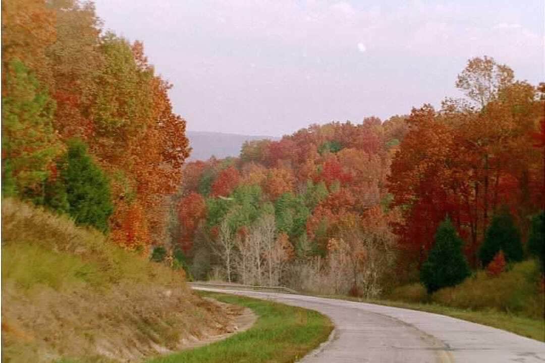 Camper submitted image from Round Spring Campground — Ozark National Scenic Riverway - 3