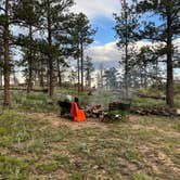 Review photo of Pingree Hill Dispersed Camping by Ginna L., July 11, 2023