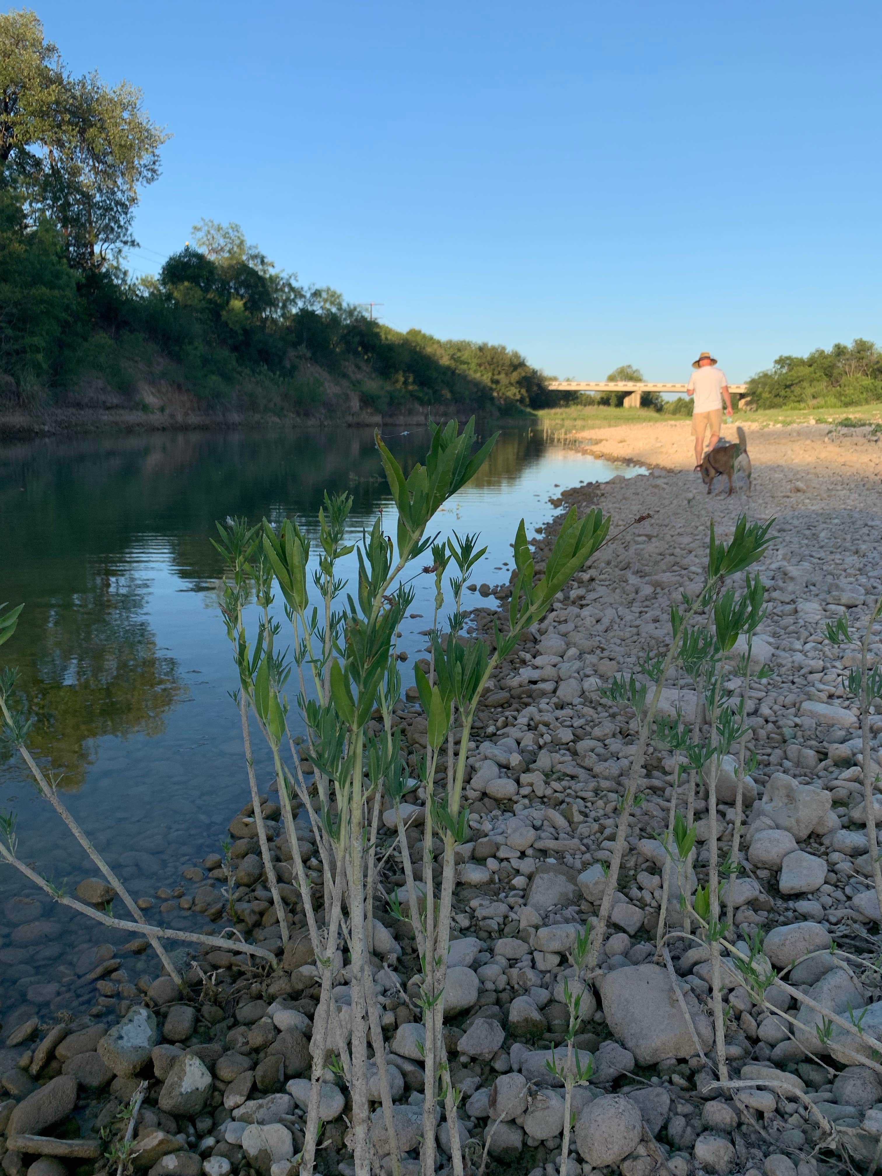 Camper-submitted photo at North Llano River RV Park near Mountain Home, TX