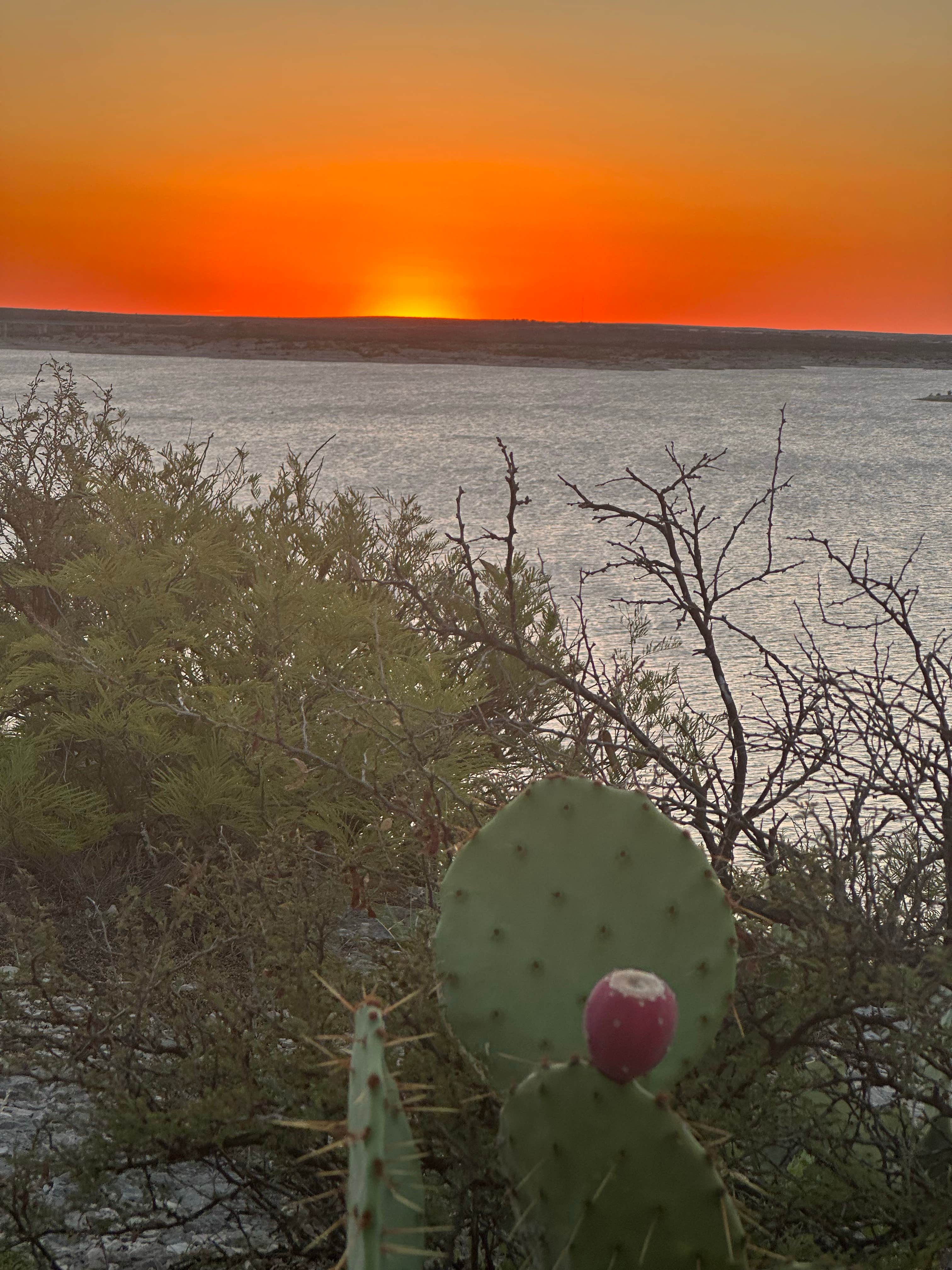 Camping near Southwinds Marina on Lake: American Campground, Amistad National Recreation Area, Texas