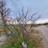 Review photo of Brantley Lake State Park Campground by Dustin C., July 11, 2023