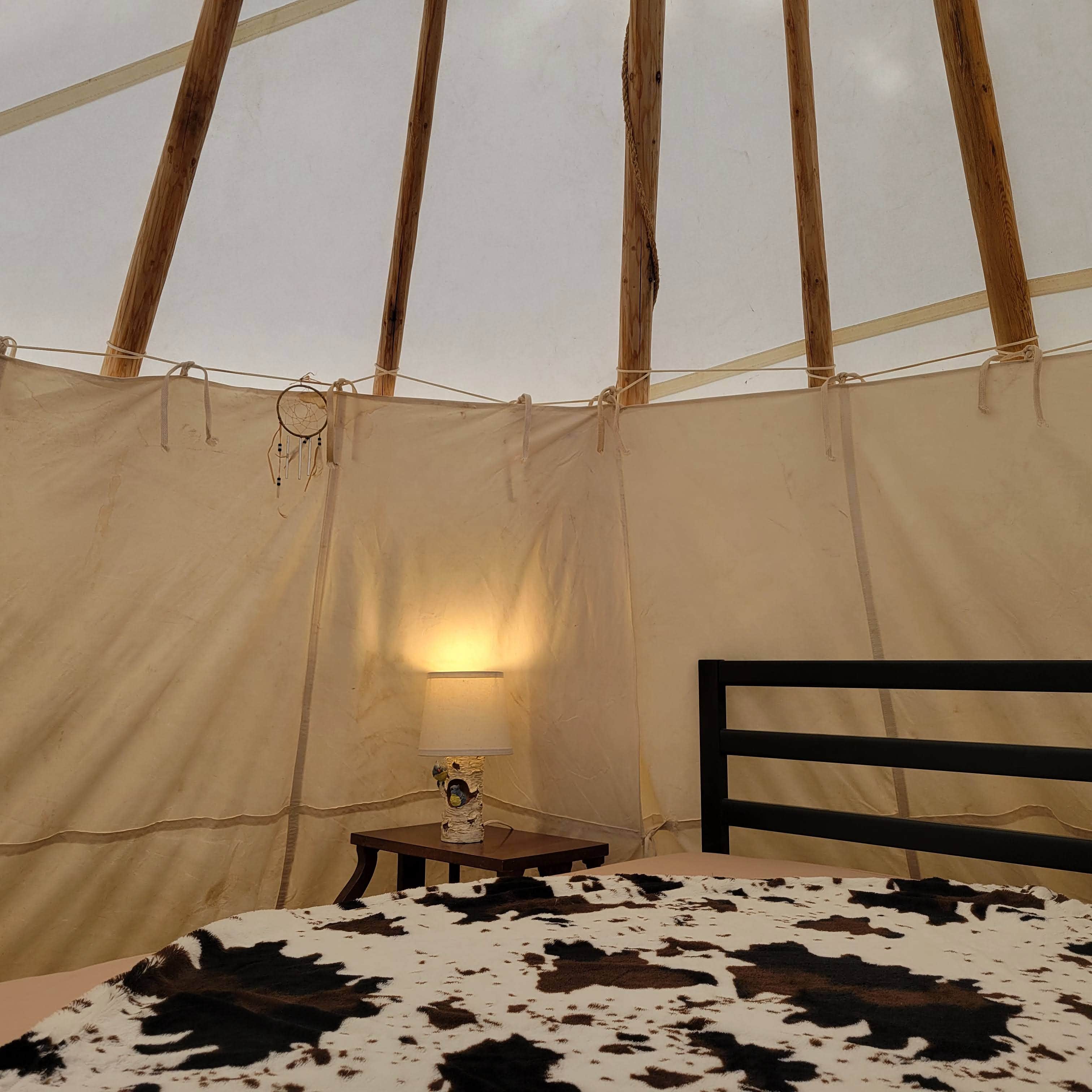 Gina M.'s photo of glamping accommodations at Mountain Goat Lodge near Buena Vista, CO