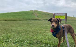 Grace H.'s photo of camping with pets at Maumee Bay State Park Campground near Vickery, OH