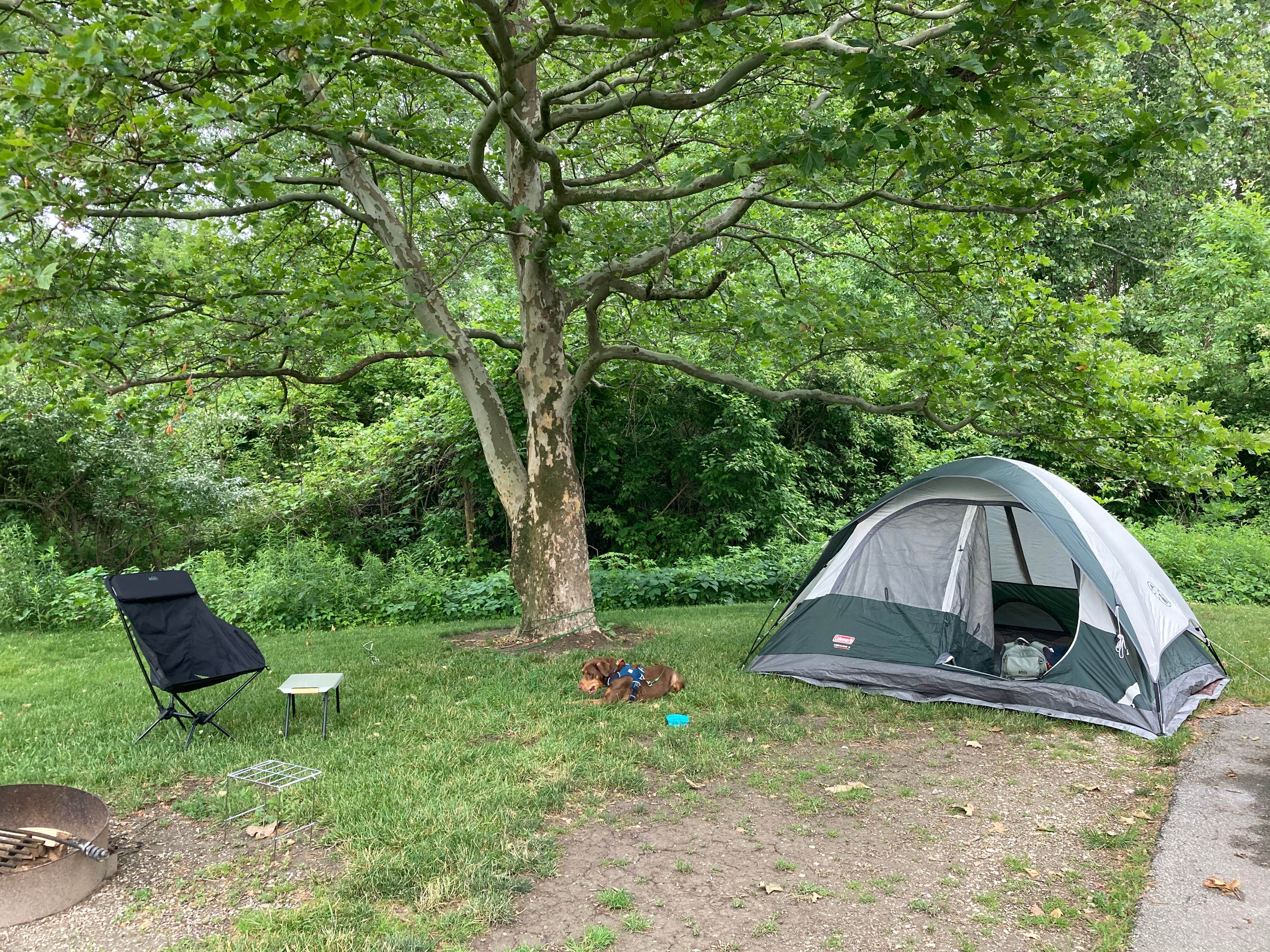 Grace H.'s photo of tent camping at Maumee Bay State Park Campground near Monroeville, OH