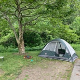 Review photo of Maumee Bay State Park Campground by Grace H., July 11, 2023