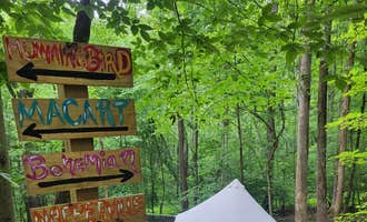 Camping near Pine Tree Associates Nudist Club: Lacy Oasis Campground , Chesapeake Beach, Maryland