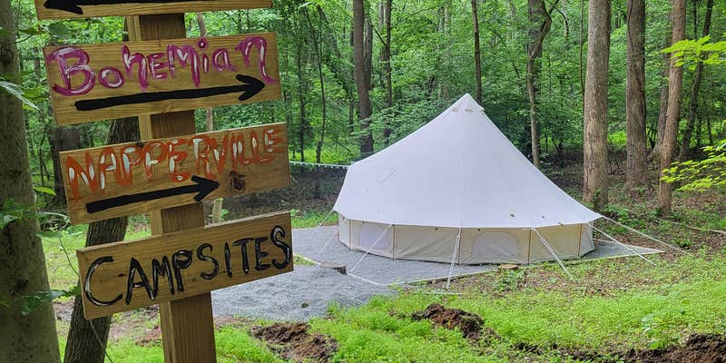 Camper submitted image from Lacy Oasis Campground