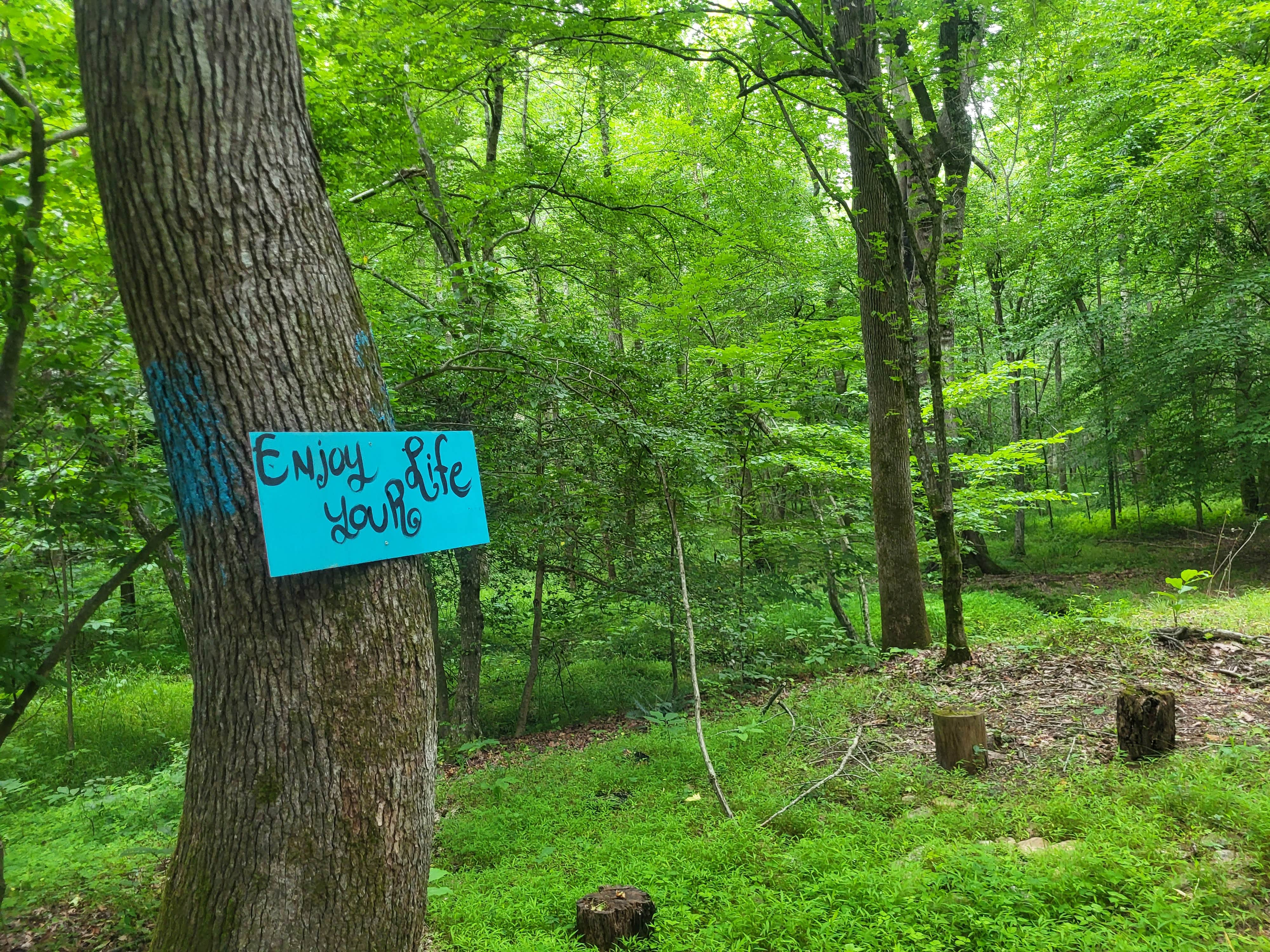 Camper-submitted photo at Lacy Oasis Campground near Huntingtown, MD