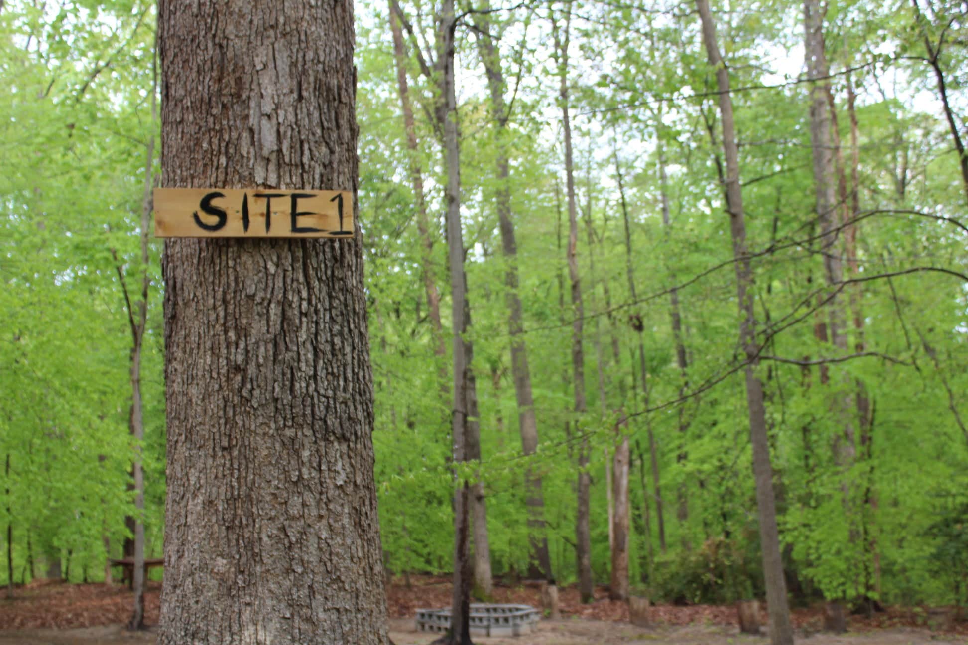 Fort Washington Park photo 3