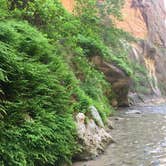 Review photo of Lava Point Campground — Zion National Park by Sam M., October 23, 2018