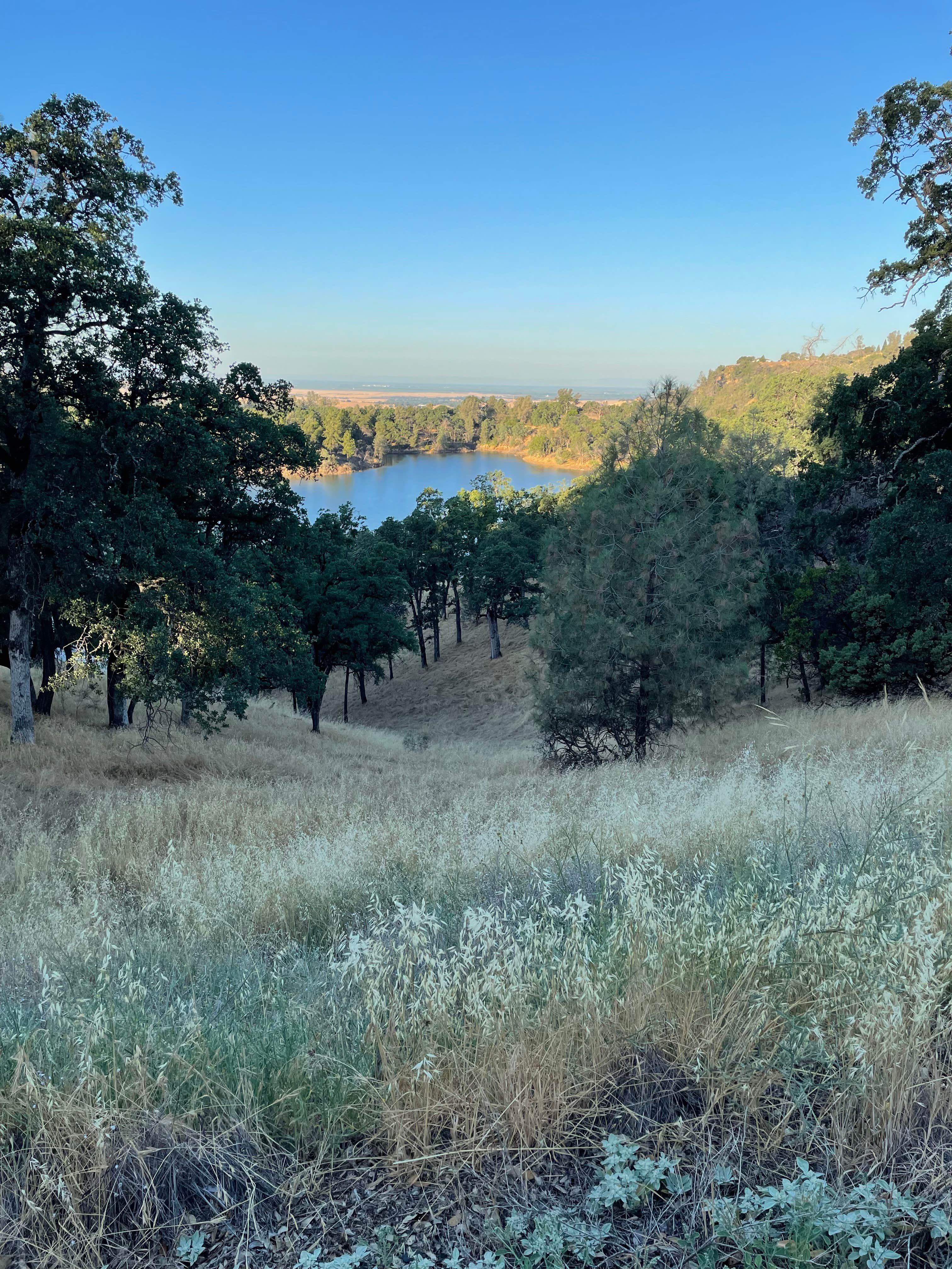 Lime Saddle Campground Lake Oroville State Recreation Area