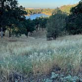 Review photo of Bidwell Canyon Campground — Lake Oroville State Recreation Area by mp , July 11, 2023