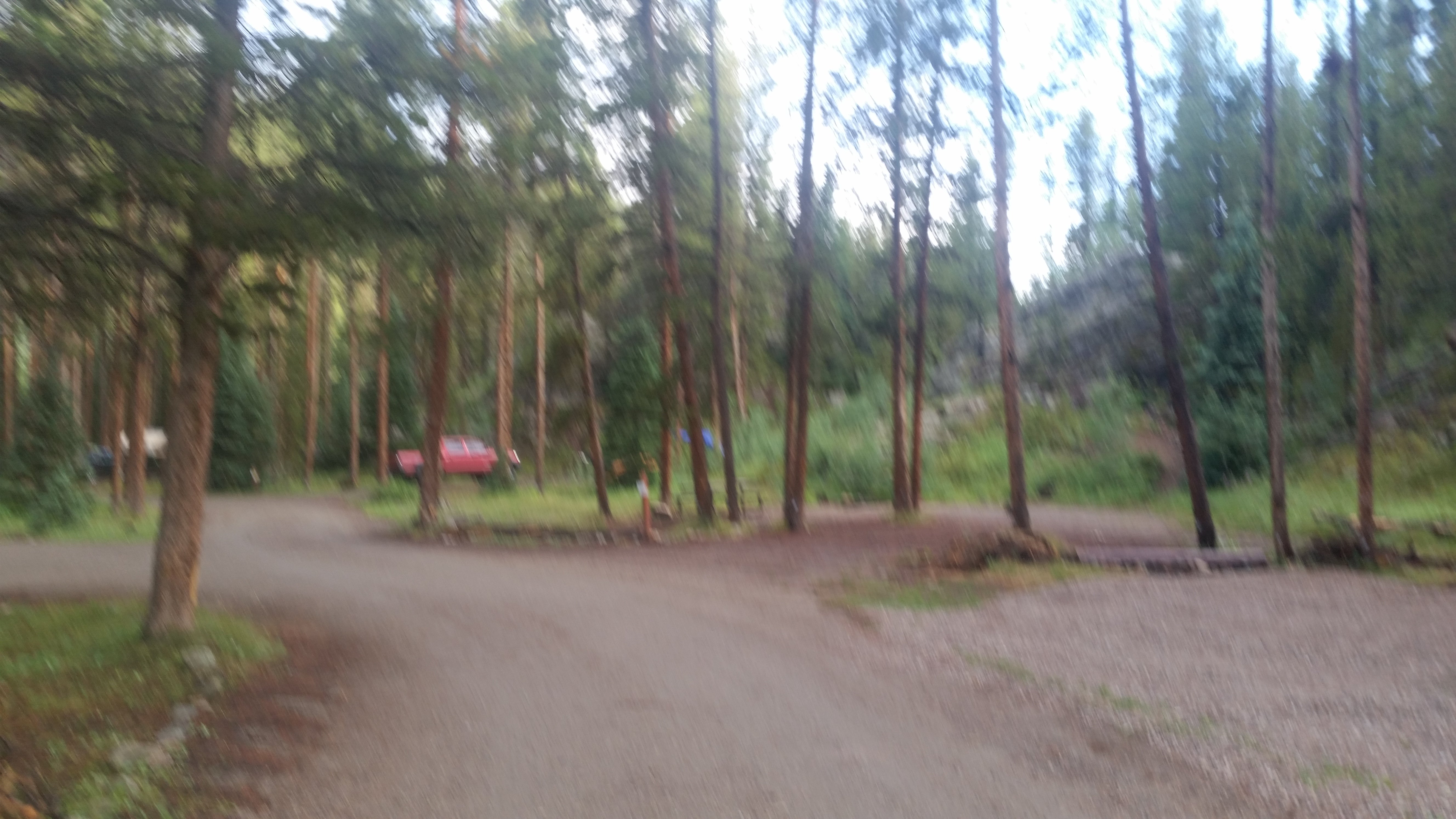 Camper submitted image from Gold Park Campground - 2