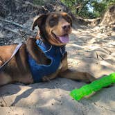 Review photo of Adeline Jay-Geo Karis Illinois Beach State Park by Grace H., July 11, 2023