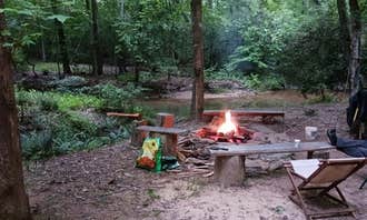 Camping near Bell Acres Nudist Resort: Possum Holler 353 RV, Clarkesville, Georgia