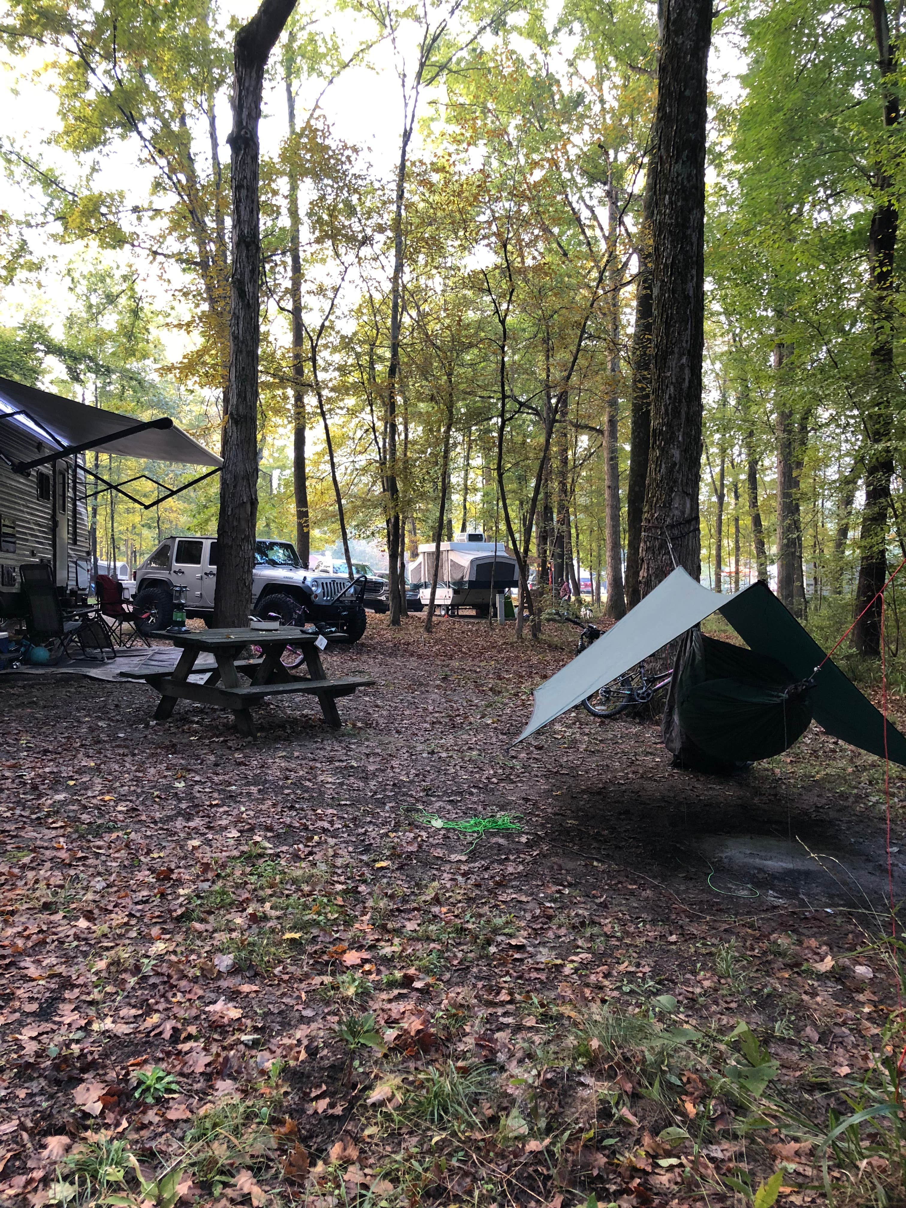 Amber M.'s photo at Patoka Lake Campground near West Baden Springs, IN