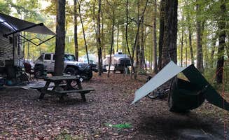 Amber M.'s photo at Patoka Lake Campground near Loogootee, IN