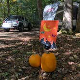 Review photo of Patoka Lake Campground by Amber M., October 23, 2018