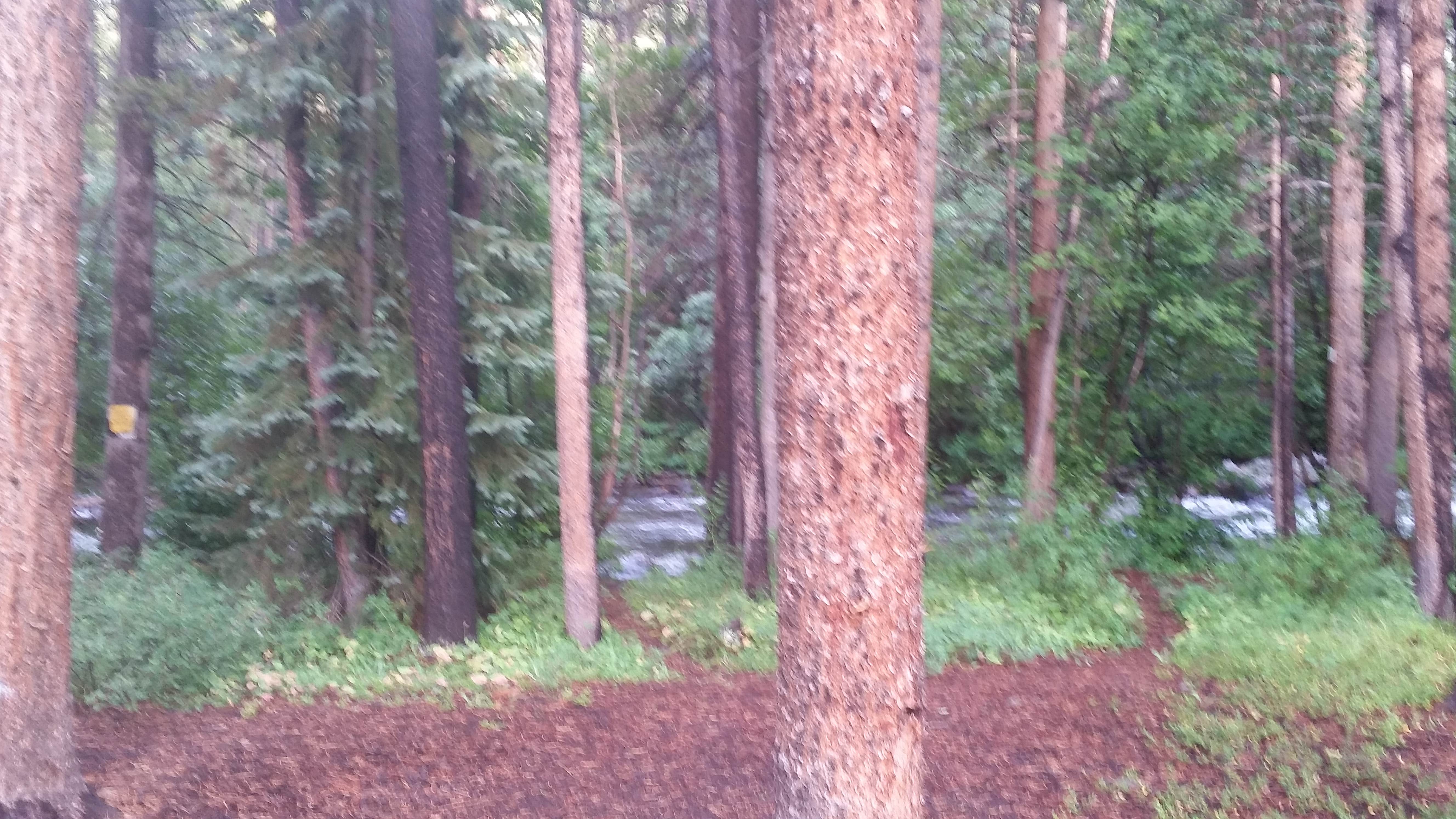 Camper-submitted photo at Gold Park Campground near Minturn, CO