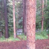 Review photo of Gold Park Campground by Valerie S., August 22, 2016