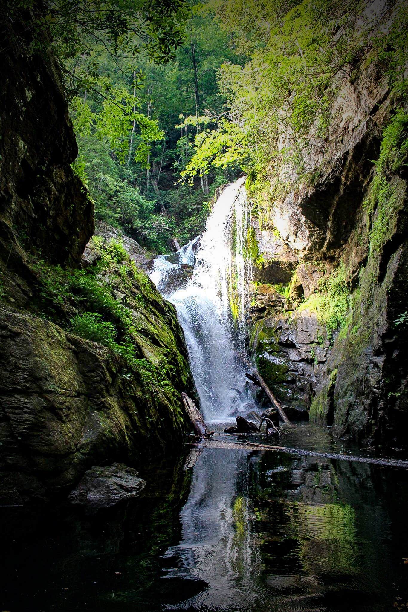 Camper submitted image from Jocassee Gorges Wildlife Management Area - 3