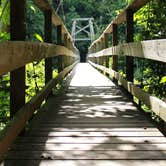 Review photo of Jocassee Gorges Wildlife Management Area by Maggie J., October 23, 2018