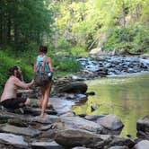 Review photo of Jocassee Gorges Wildlife Management Area by Maggie J., October 23, 2018