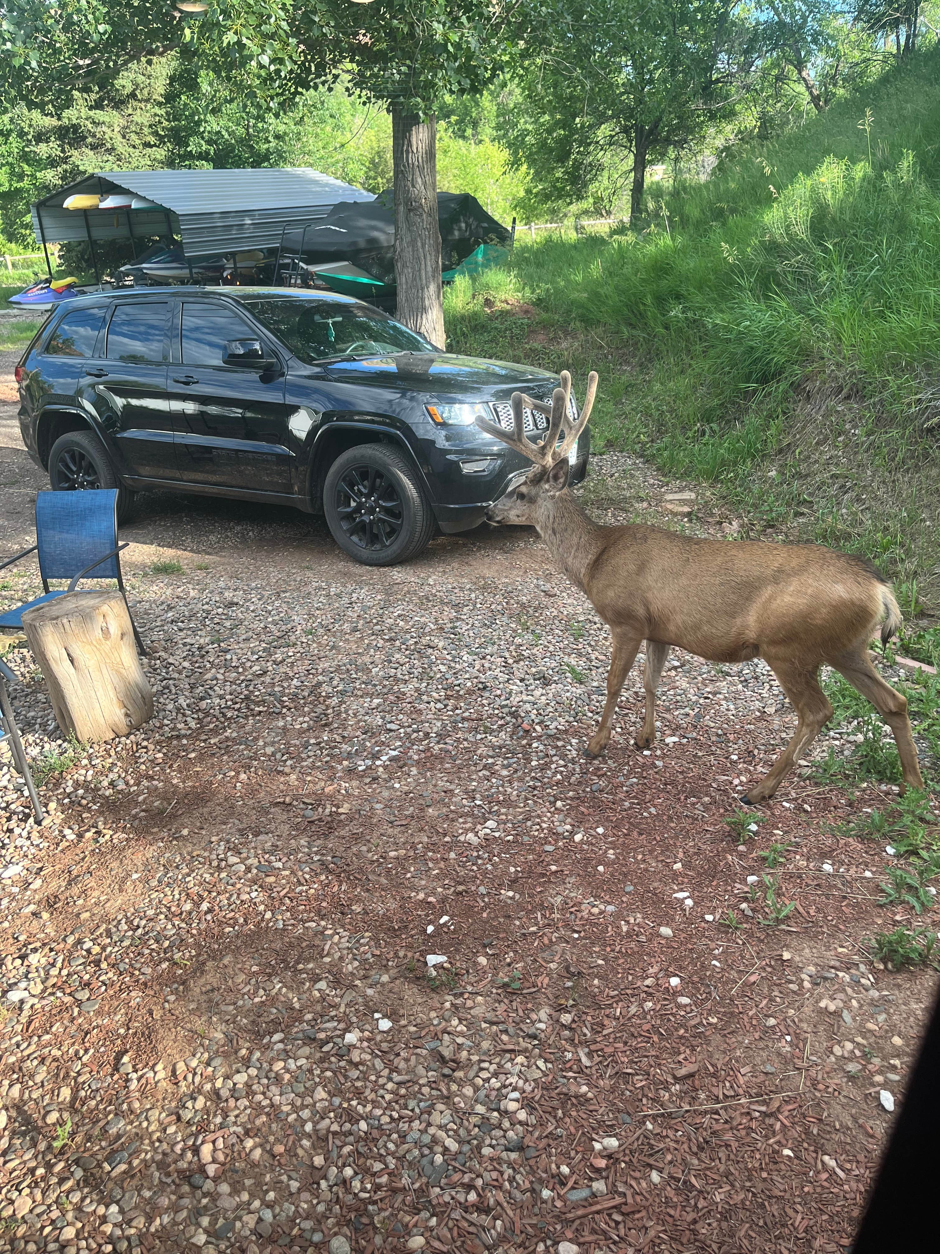 Camper-submitted photo at Horsetooth Inn & RV Park near Johnstown, CO