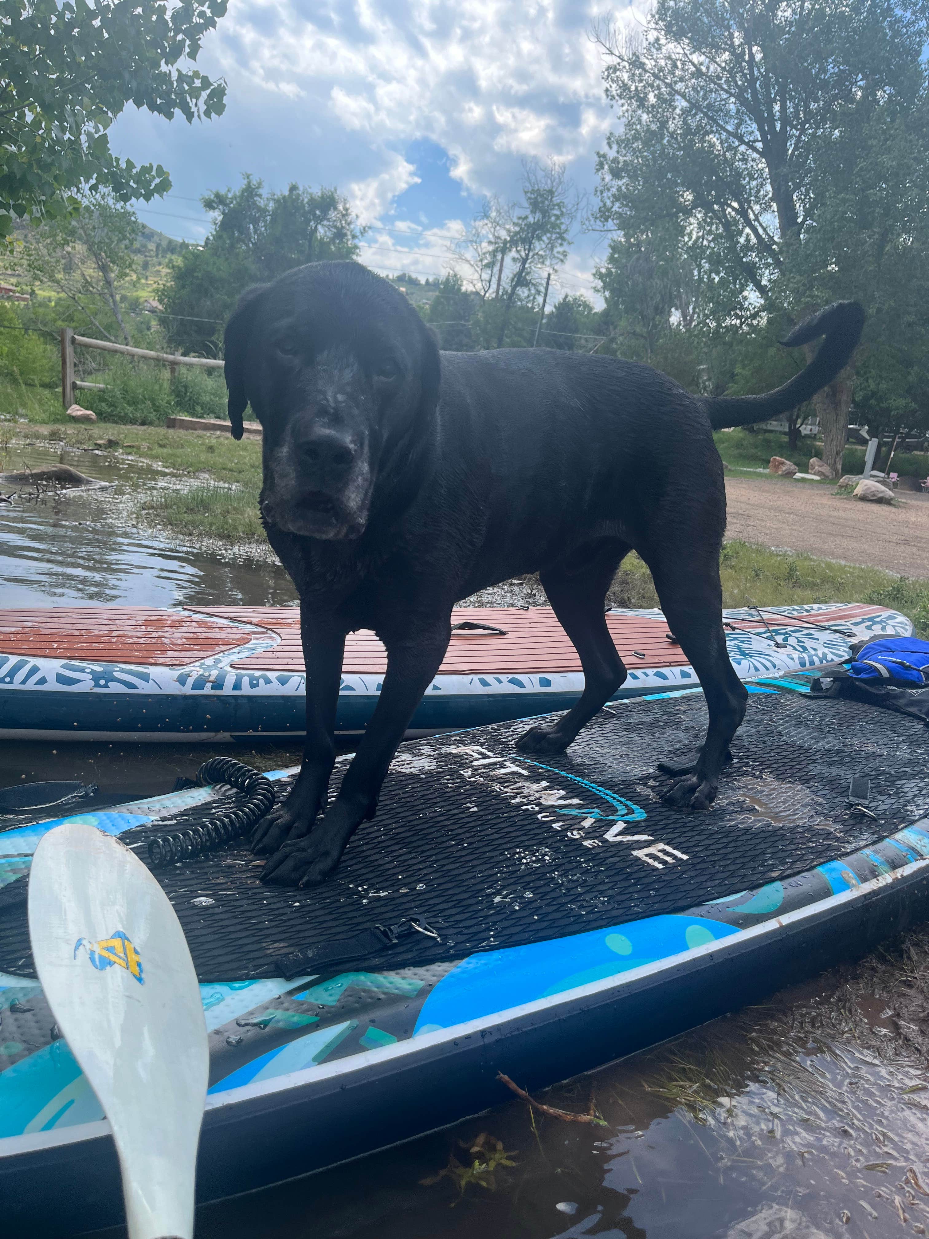 Camper-submitted photo at Horsetooth Inn & RV Park near Johnstown, CO