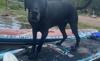 Ali H.'s photo of camping with pets at Horsetooth Inn & RV Park near Livermore, CO