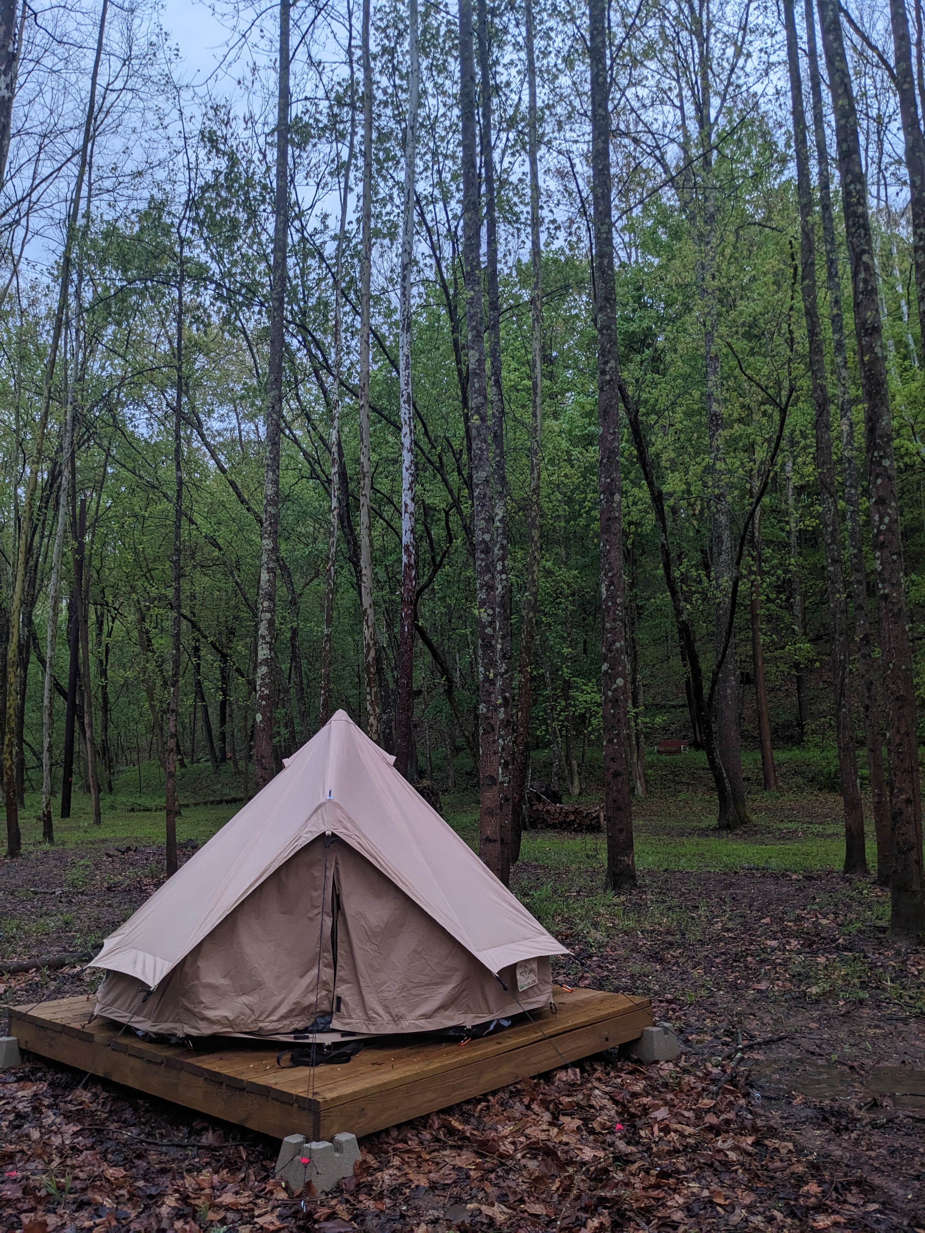 Camper submitted image from Baileys Trail Tent Camping - 4