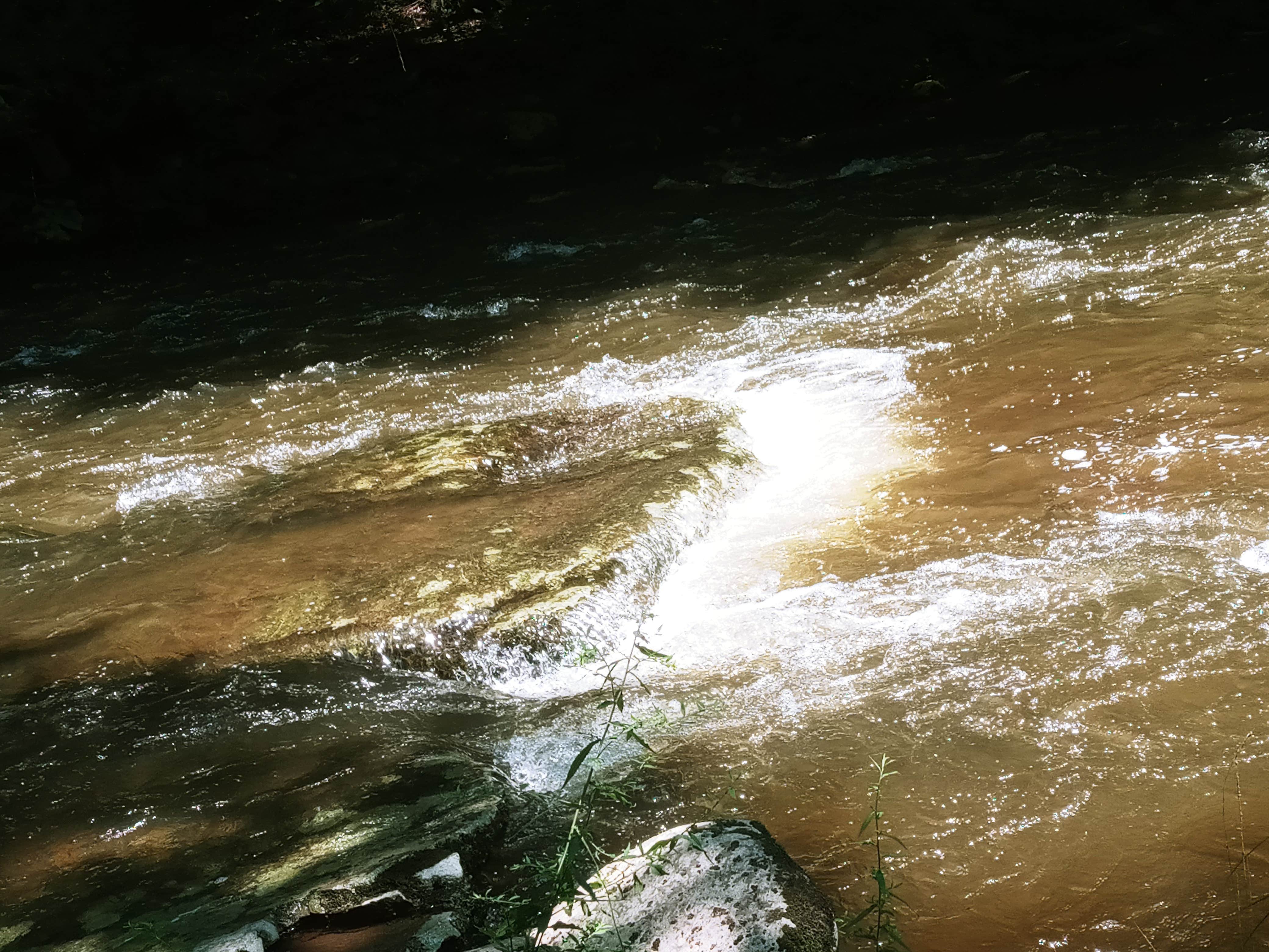 Camper-submitted photo at Moon Lake Recreation Area Campground — Pinchot State Forest near Plymouth, PA