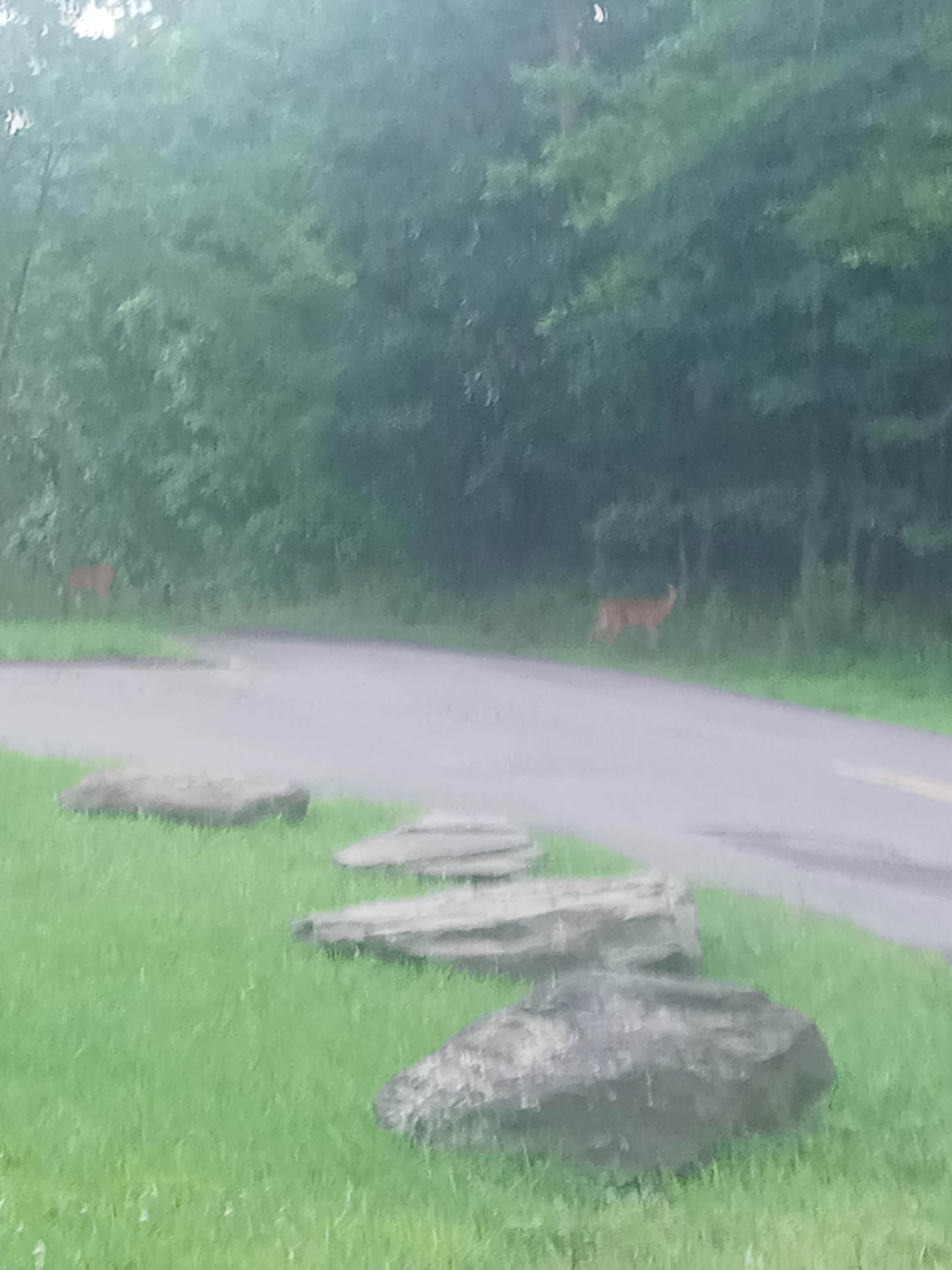 Camper-submitted photo at Moon Lake Recreation Area Campground — Pinchot State Forest near Plymouth, PA