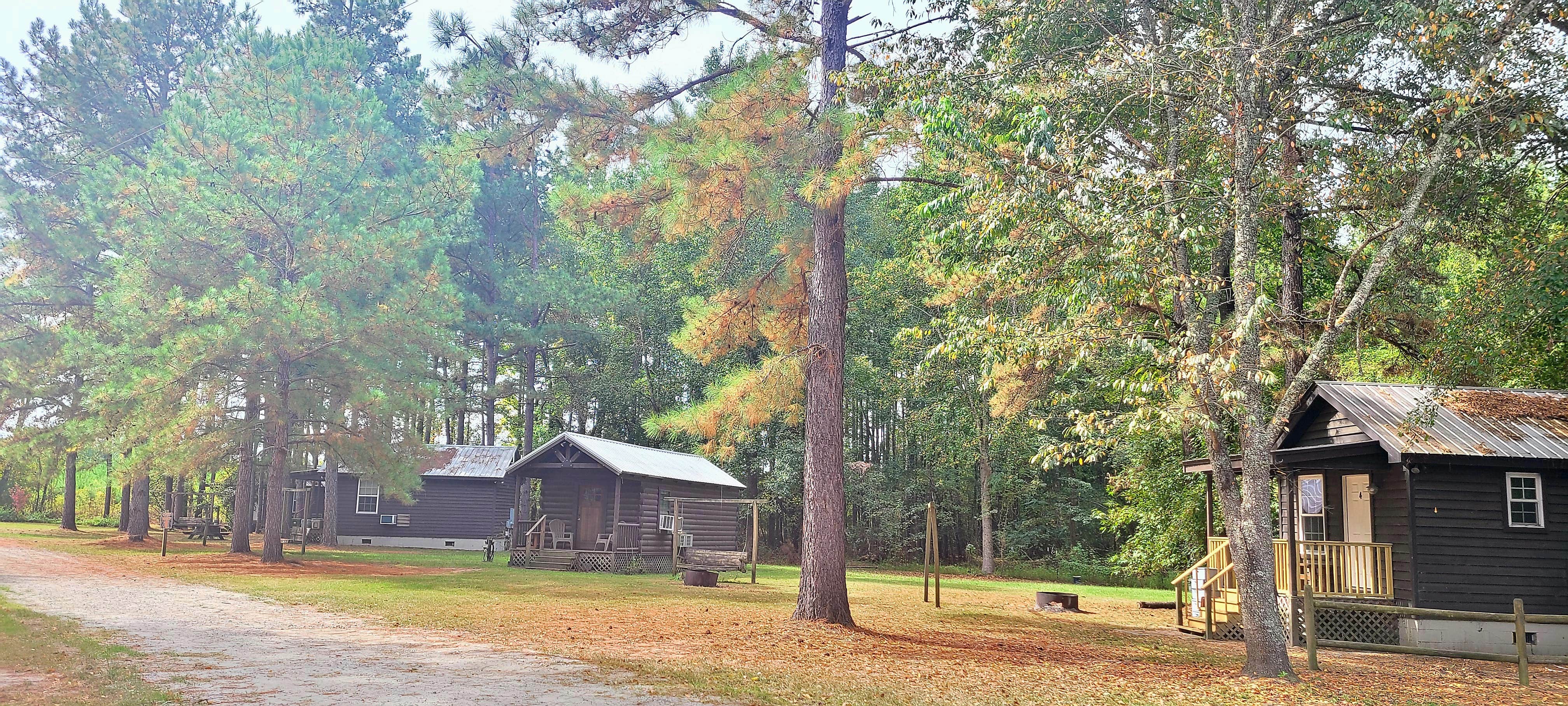 Amanda H.'s photo of a cabin at Leaning Pines Campground and Cabins near Aiken, SC