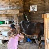 Review photo of The Healing Farm by Rebecca A., July 12, 2023