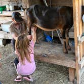 Review photo of The Healing Farm by Rebecca A., July 12, 2023