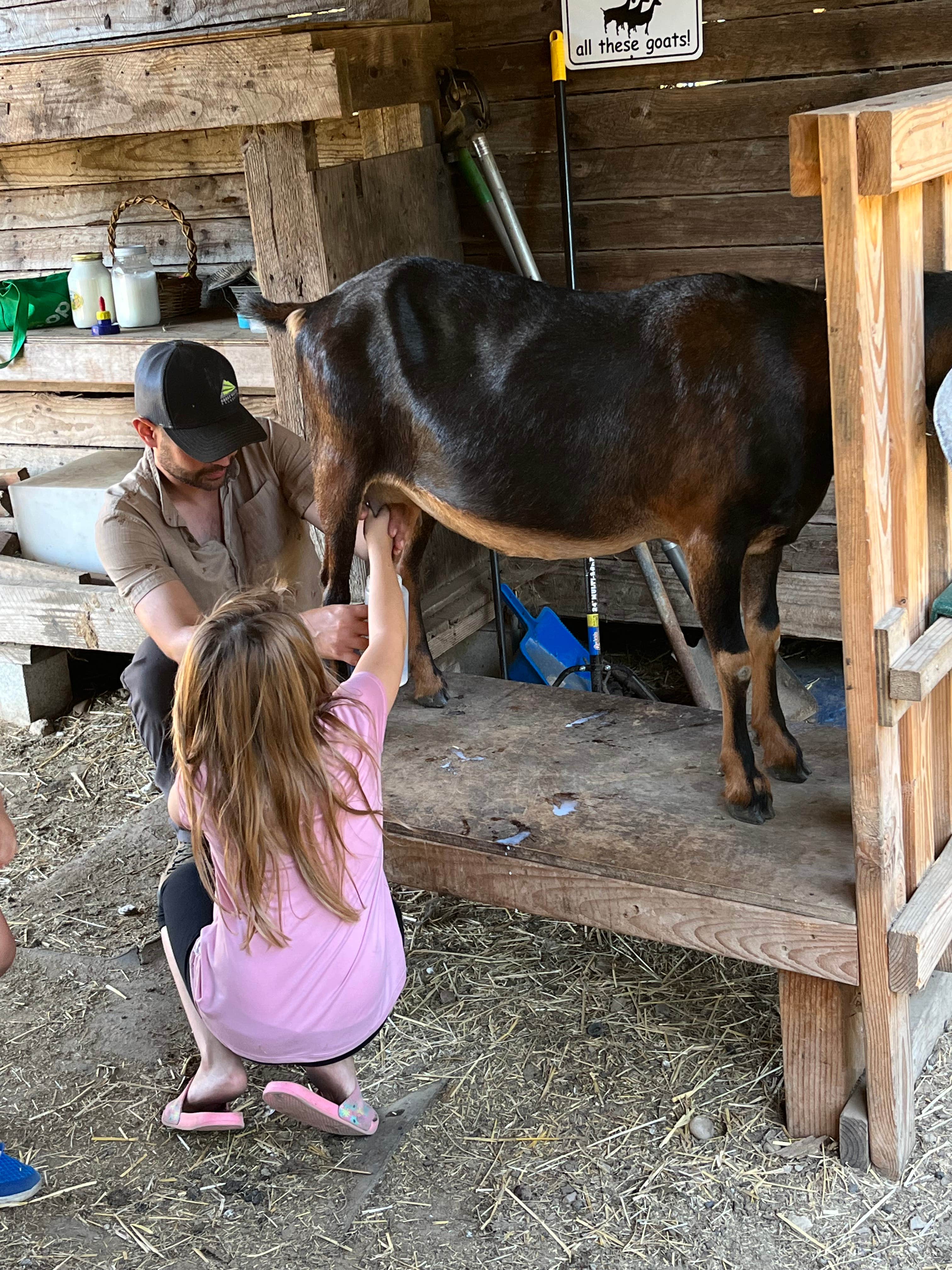 Camper submitted image from The Healing Farm - 3