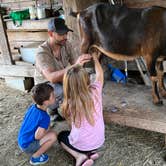 Review photo of The Healing Farm by Rebecca A., July 12, 2023