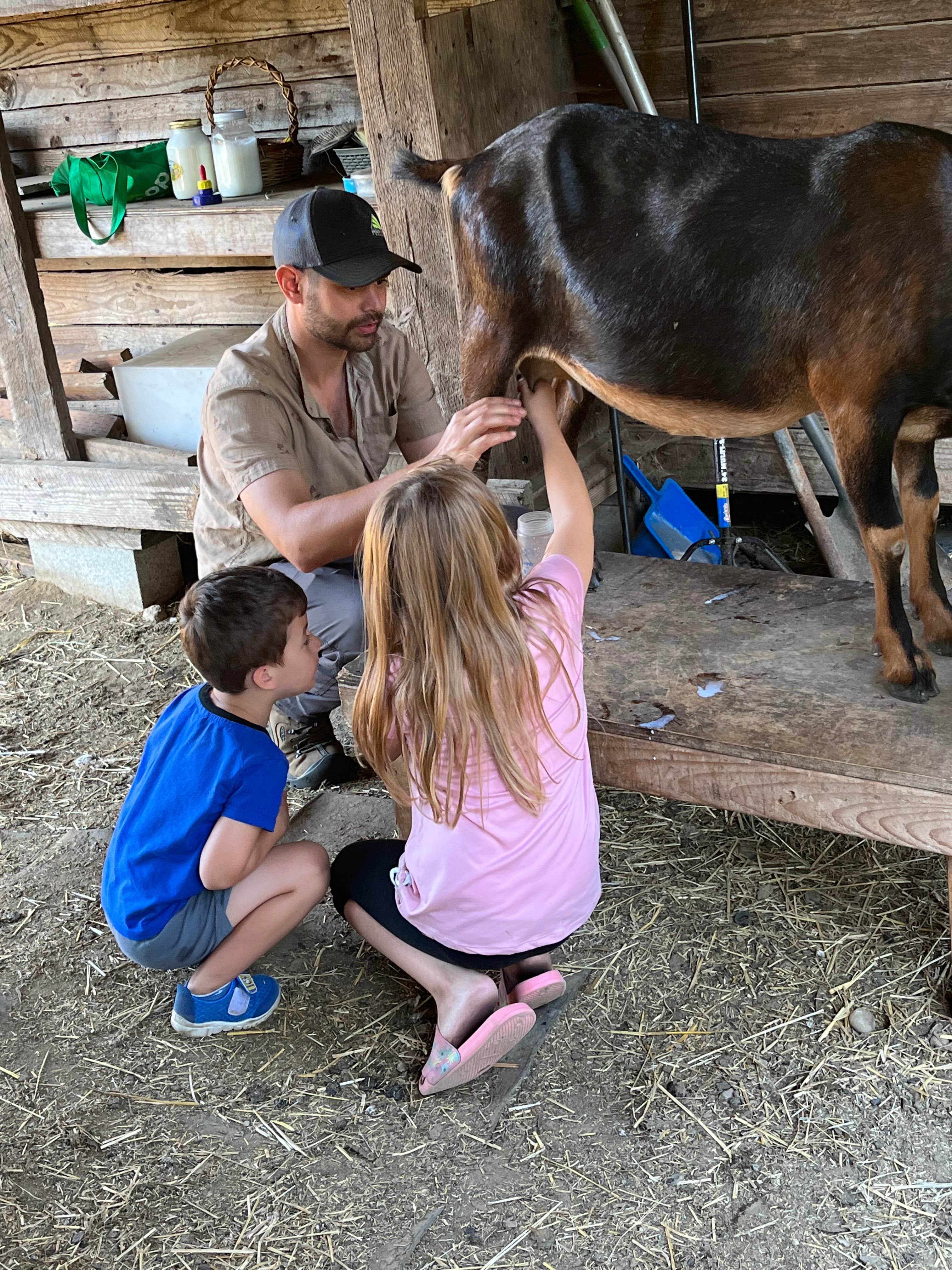 Camper submitted image from The Healing Farm - 4