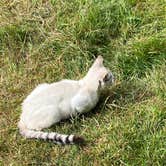 Review photo of The Healing Farm by Rebecca A., July 12, 2023