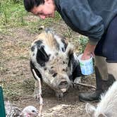 Review photo of The Healing Farm by Rebecca A., July 12, 2023