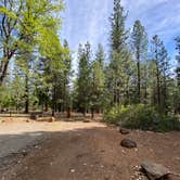 Review photo of McArthur-Burney Falls Memorial State Park Campground by Taylor A., July 12, 2023