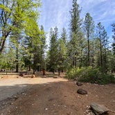 Review photo of McArthur-Burney Falls Memorial State Park by Taylor A., July 12, 2023