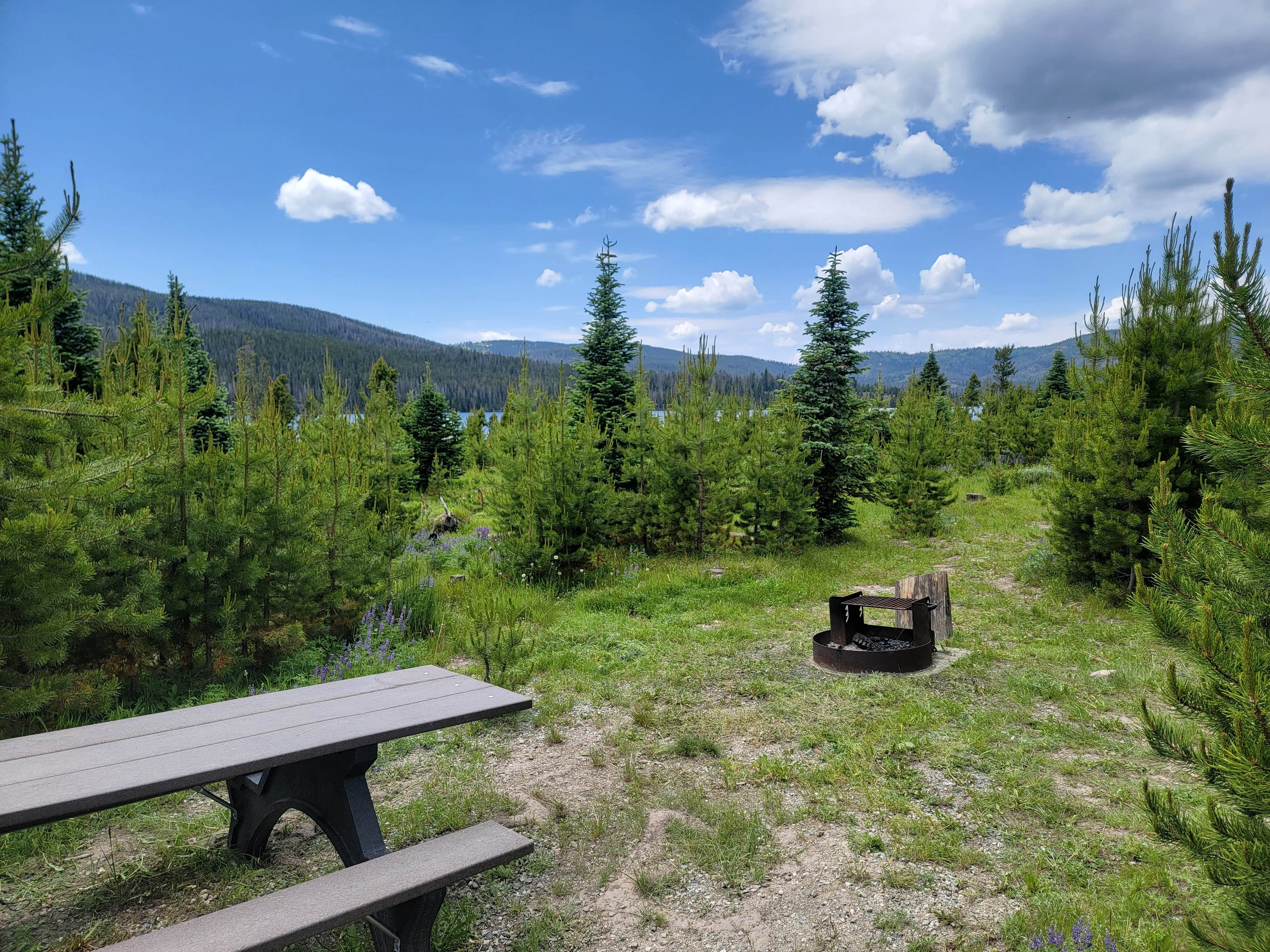 Camper submitted image from Hog Park Campground - 5